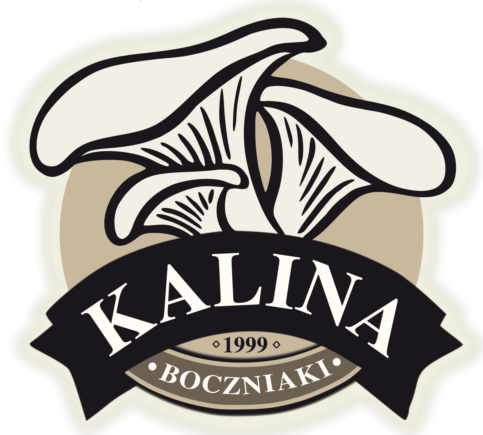 Kalina Boczniaki logo - Domasz Robotics client