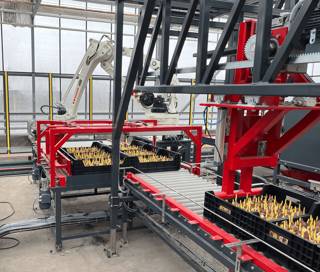 Chain conveyor for pallets