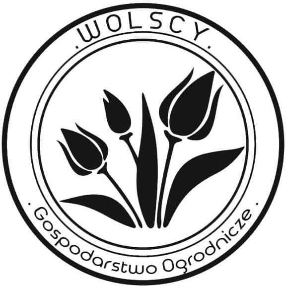 Wolscy Tulipany logo