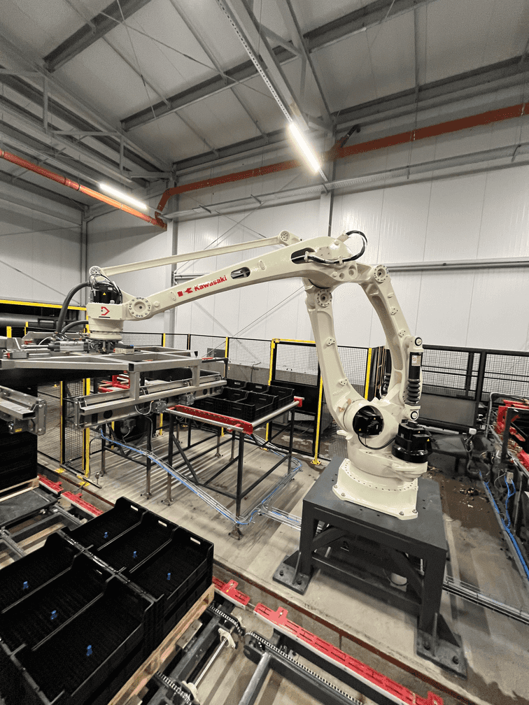 Robot paletyzujący w firmie Nowacki Tulipany.